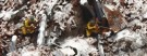 Italeri 1/72 Stalingrad Siege 1942 Tractor Plant Assault - Battle Set thumbnail