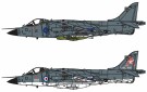 Airfix 1/72 BAe Sea Harrier FRS.1 thumbnail