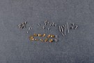 I Love Kit 1/18 U.S. Navy SBD-3/4 Dauntless thumbnail