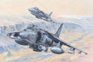 HobbyBoss 1/18 AV-8B Harrier II thumbnail