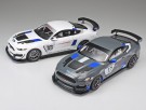 Tamiya 1/24 Ford Mustang GT4 thumbnail