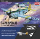 Academy 1/48 P-47N Special - Expected Goose thumbnail