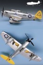 Academy 1/48 P-47N Special - Expected Goose thumbnail