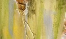 Vallejo Weathering Slimy Grime Dark 40ml thumbnail