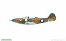 Eduard 1/48 P-400 Profipack Edition thumbnail