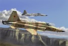 HobbyBoss 1/72 F-5E Tiger II Fighter thumbnail