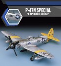 Academy 1/48 P-47N Special - Expected Goose thumbnail