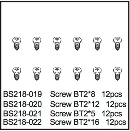 218-022 BSD Screw BT2*16