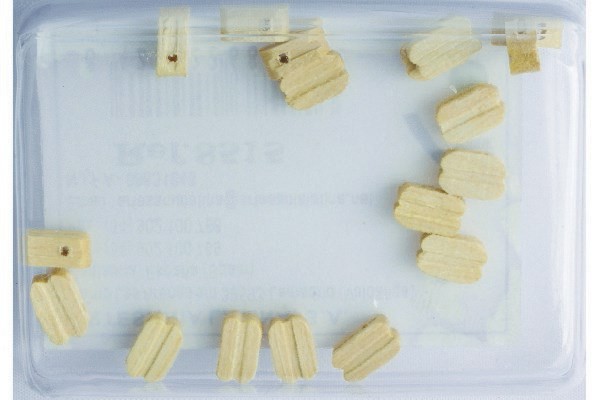 Artesania Enkel Blokk Tre 4mm (20stk.)