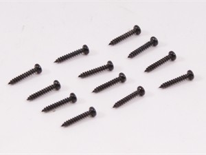 218-020 BSD Screw BT2*12